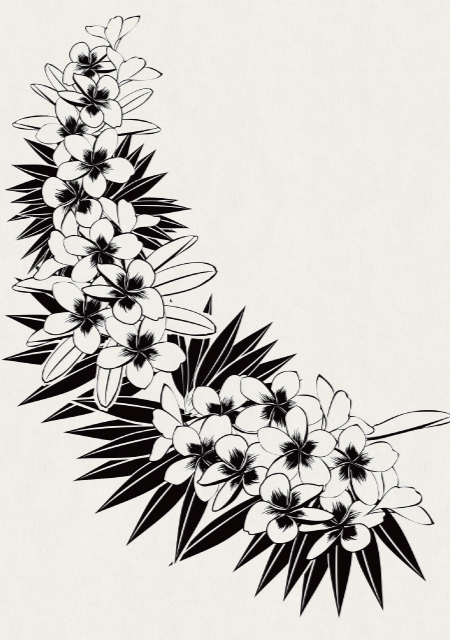 ハイビスカス１