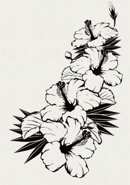 ハイビスカス２