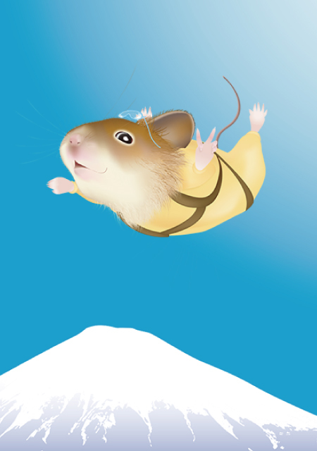 スカイダイビング